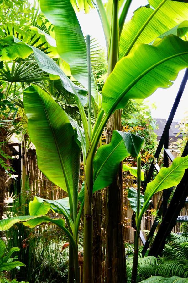 Jungle Stay In A Hidden Paradise Звейндрехт Екстер'єр фото